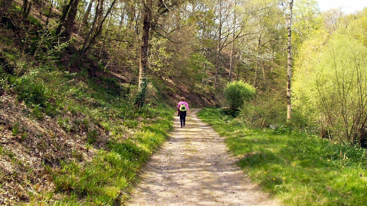 Photo of Others in Saint-Denis-le-Gast