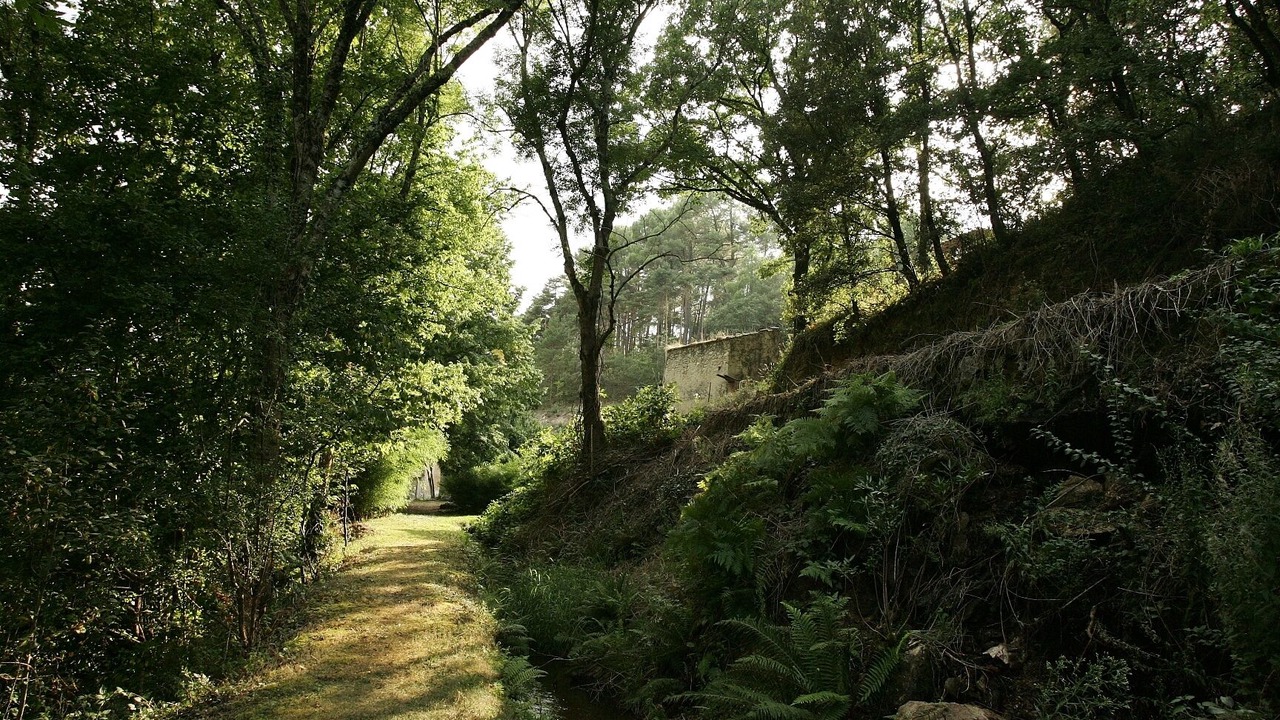 Photo of Outdoor in Cenne-Monestias
