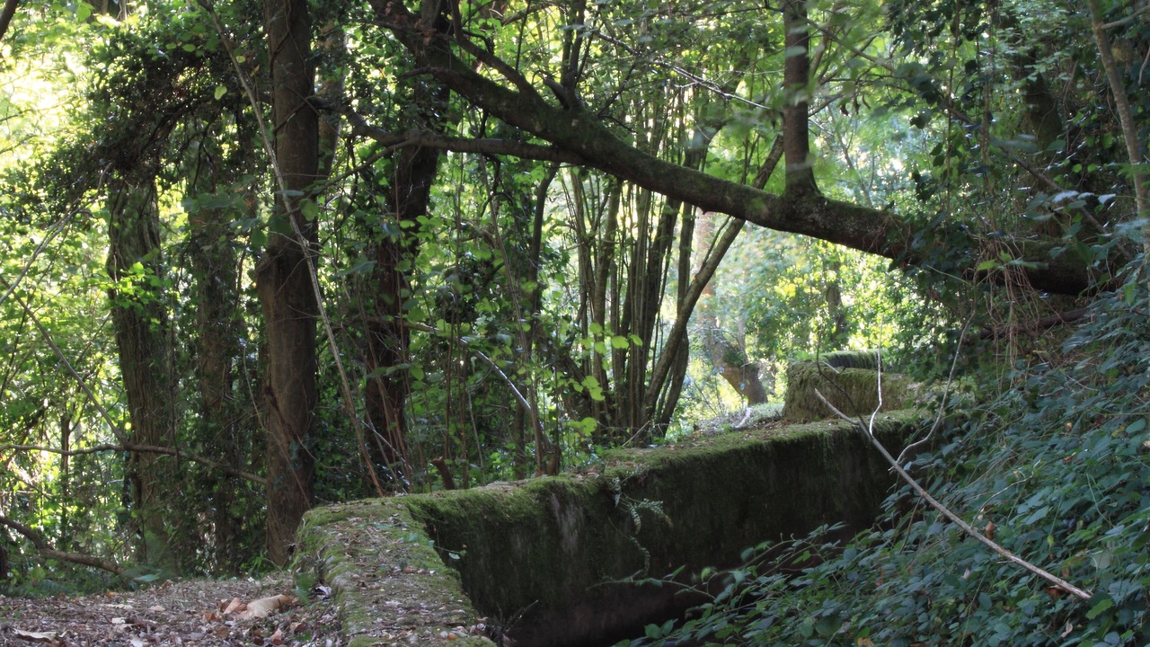 Photo of Outdoor in Cenne-Monestias