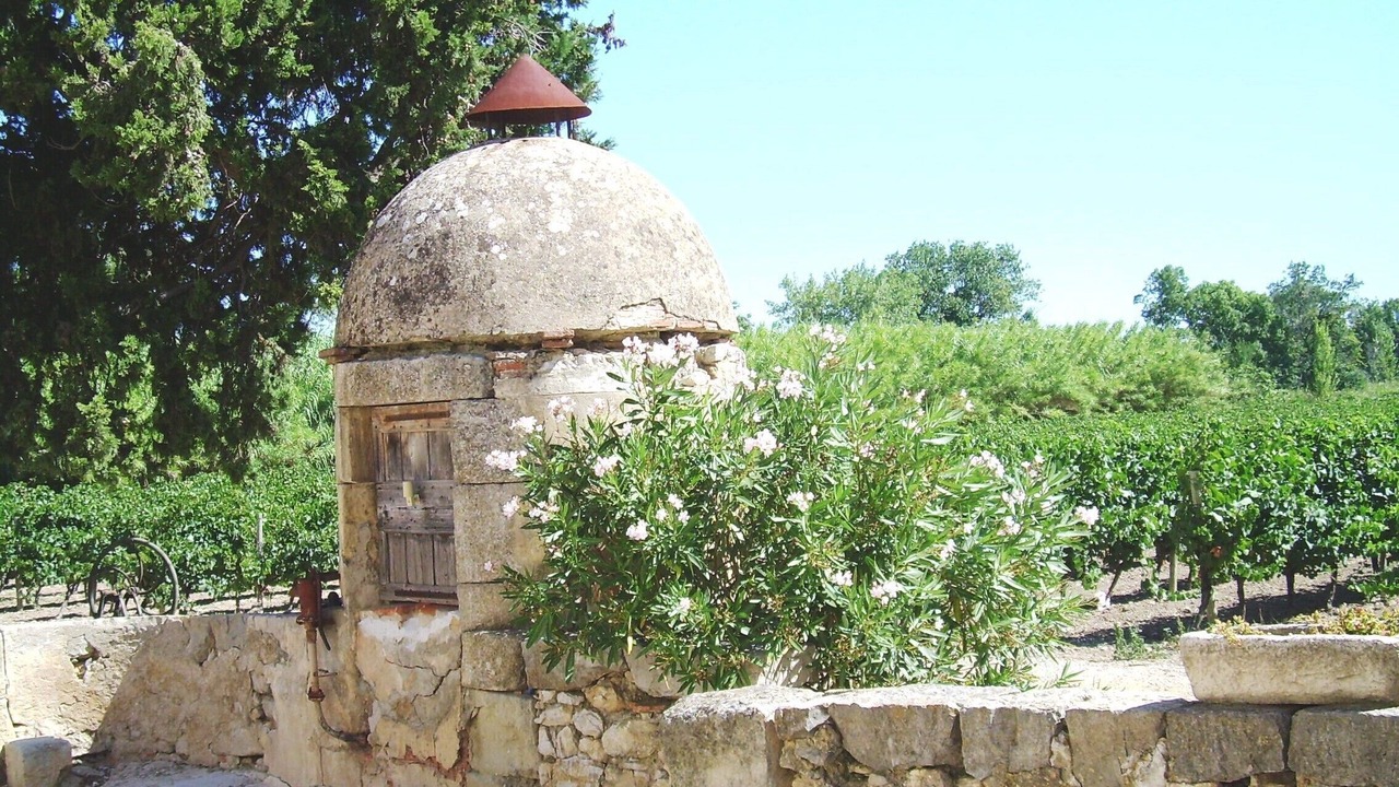 Photo of Outdoor in Narbonne