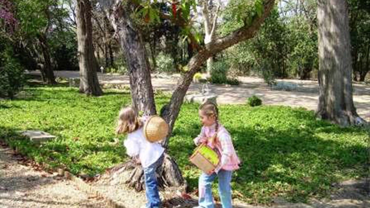 Photo of Outdoor in Narbonne