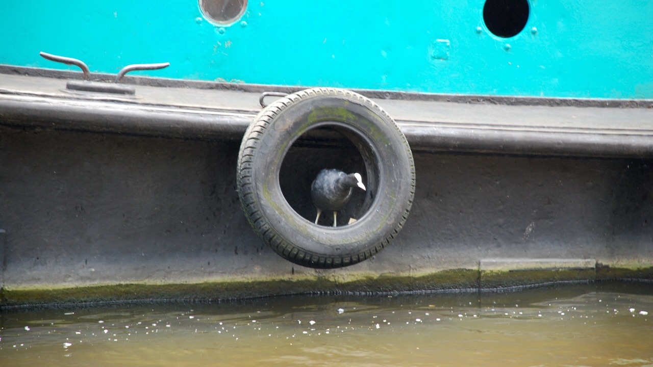 Photo of Outdoor in Jordaan