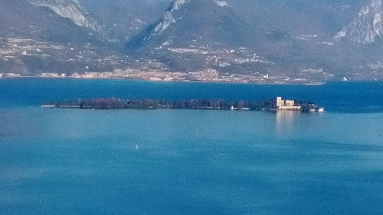 Photo of Others in Portese