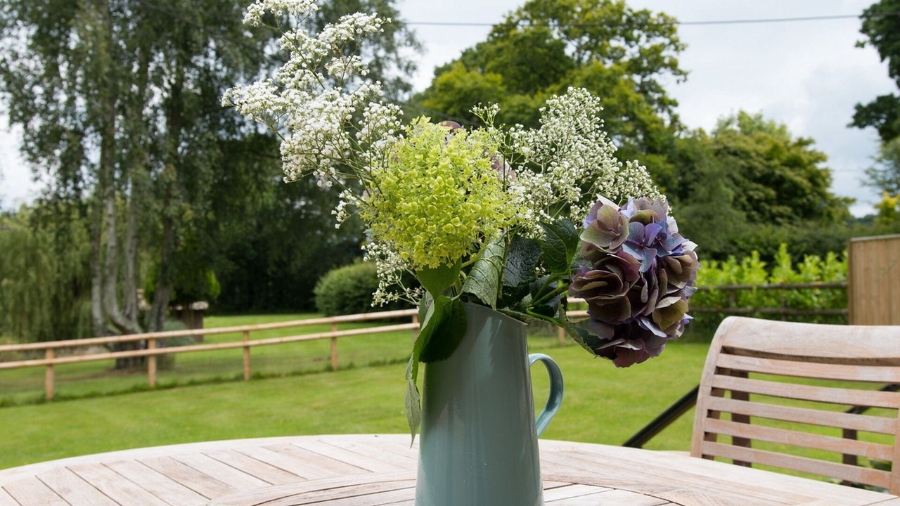 Photo of Outdoor in New Forest District