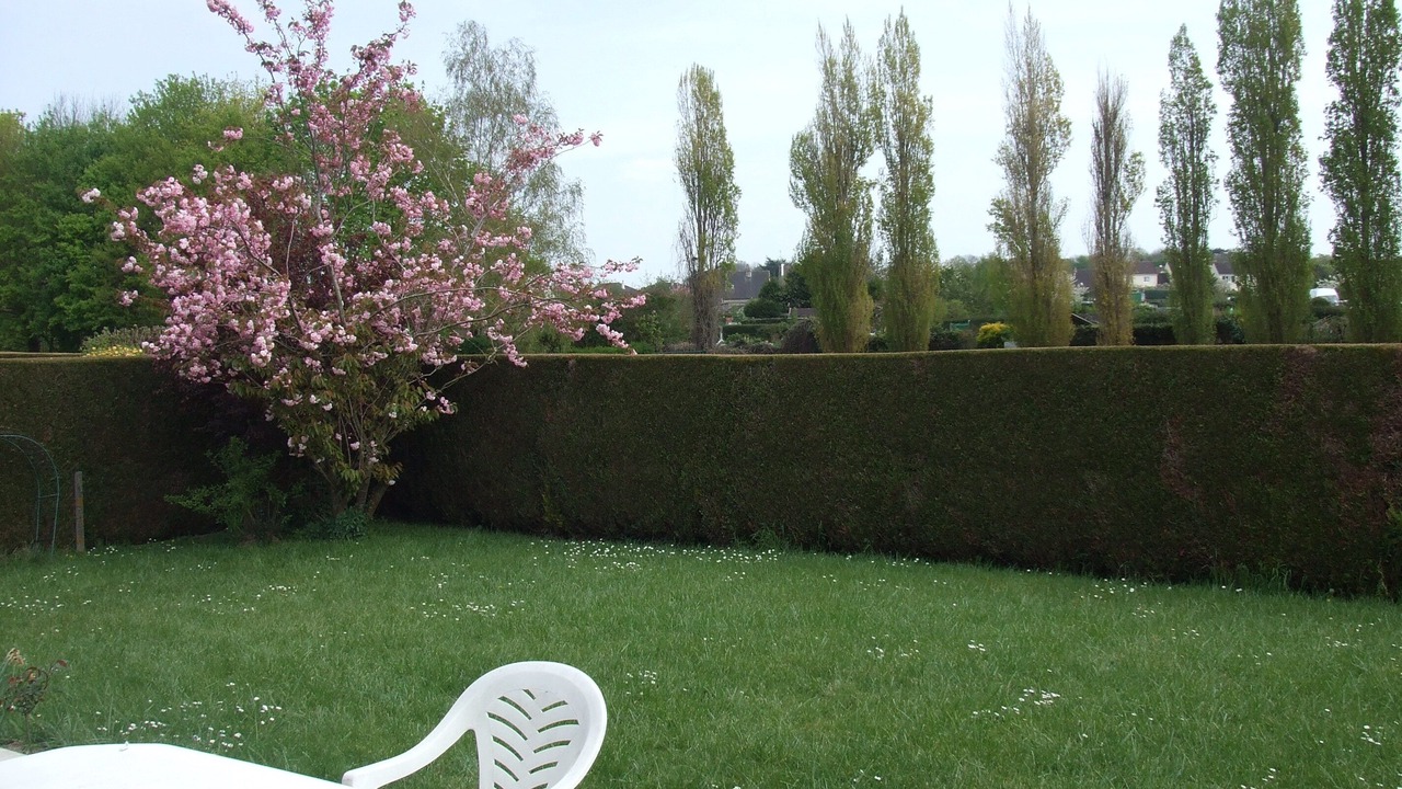 Photo of Outdoor in Cormelles-le-Royal