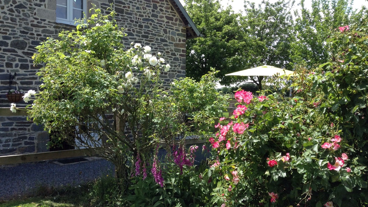 Photo of Outdoor in Le Mesnil-Garnier