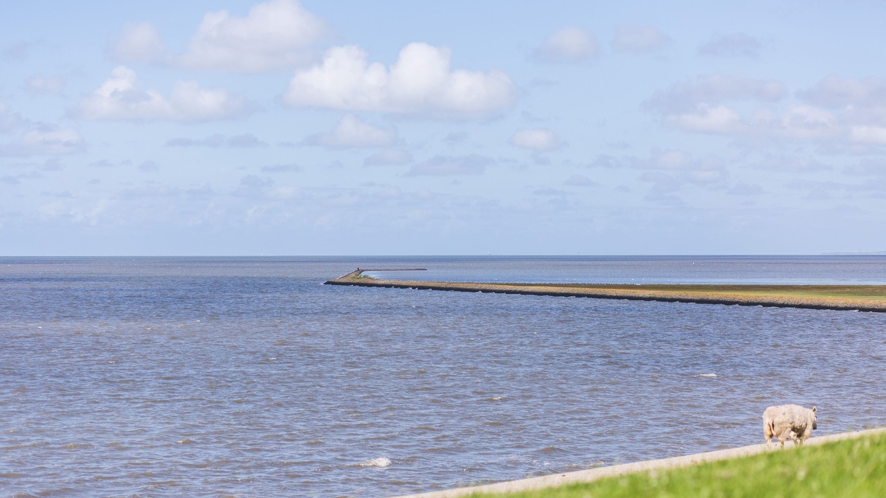 Photo of Others in Wierum