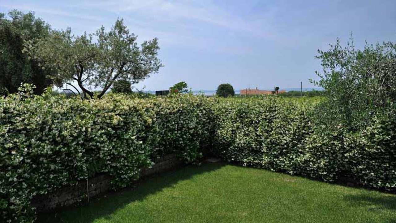 Photo of Outdoor in Calmasino