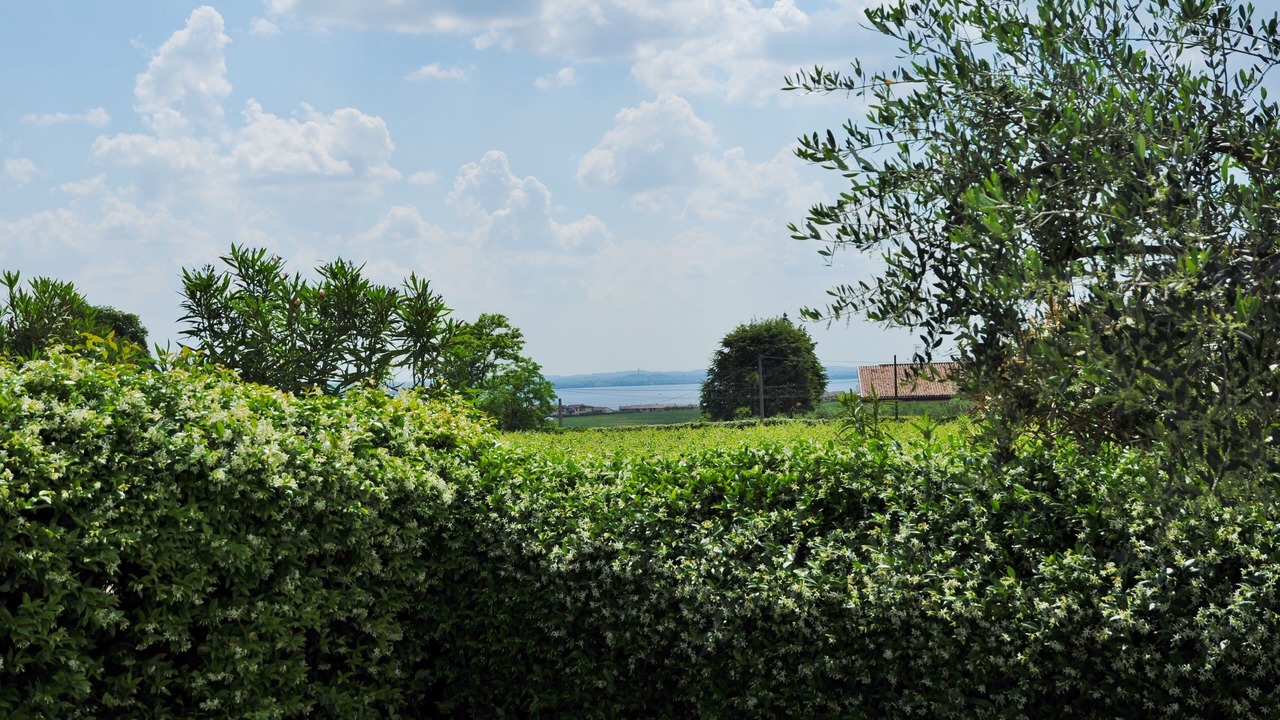 Photo of Outdoor in Calmasino