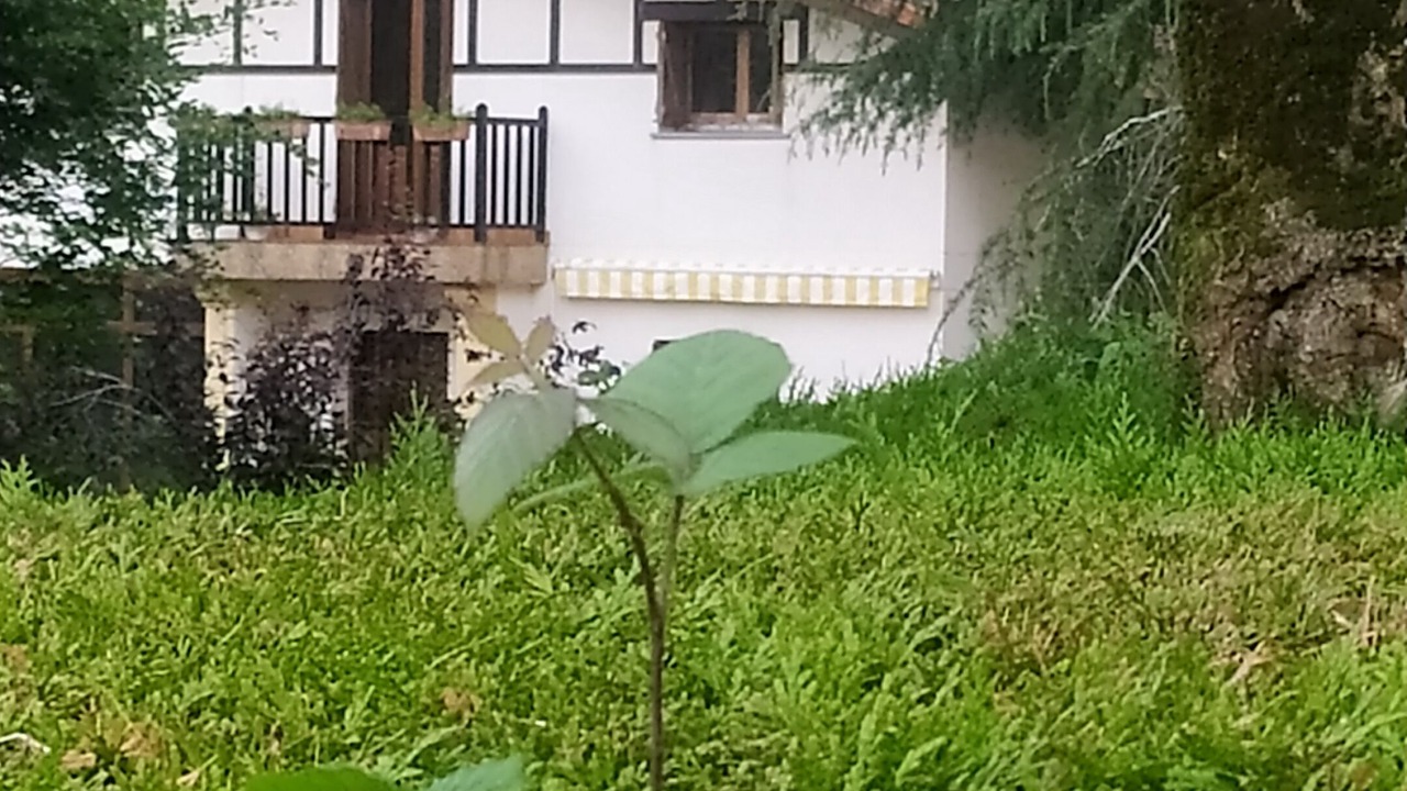 Photo of Outdoor in Lasarte-Oria