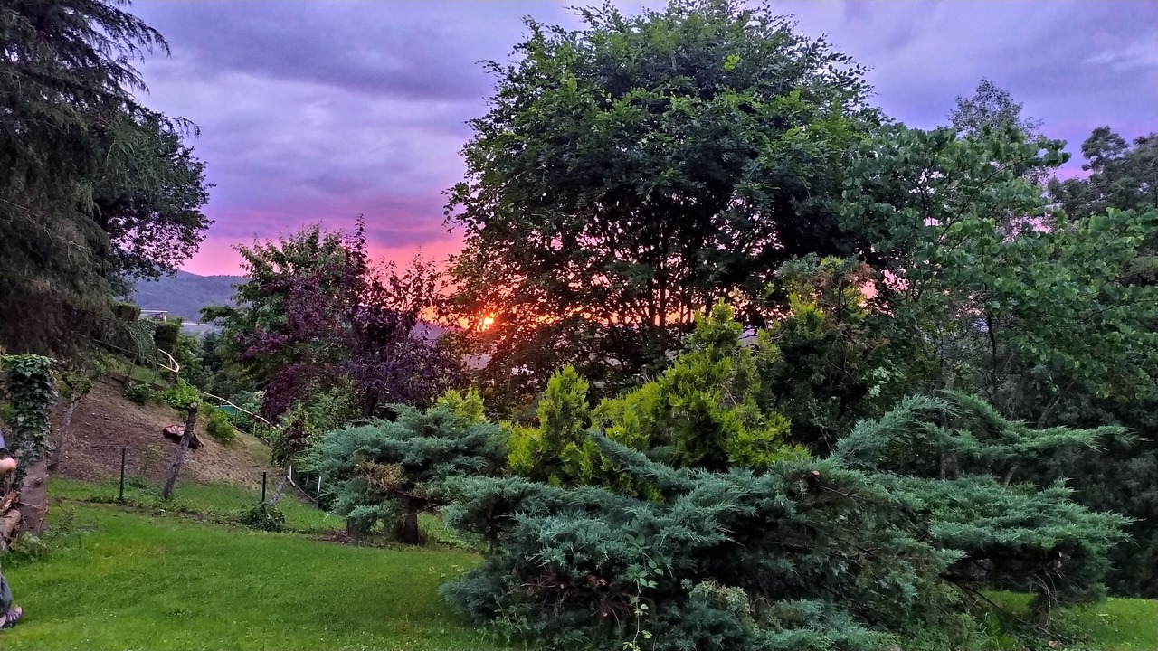 Photo of Outdoor in Lasarte-Oria