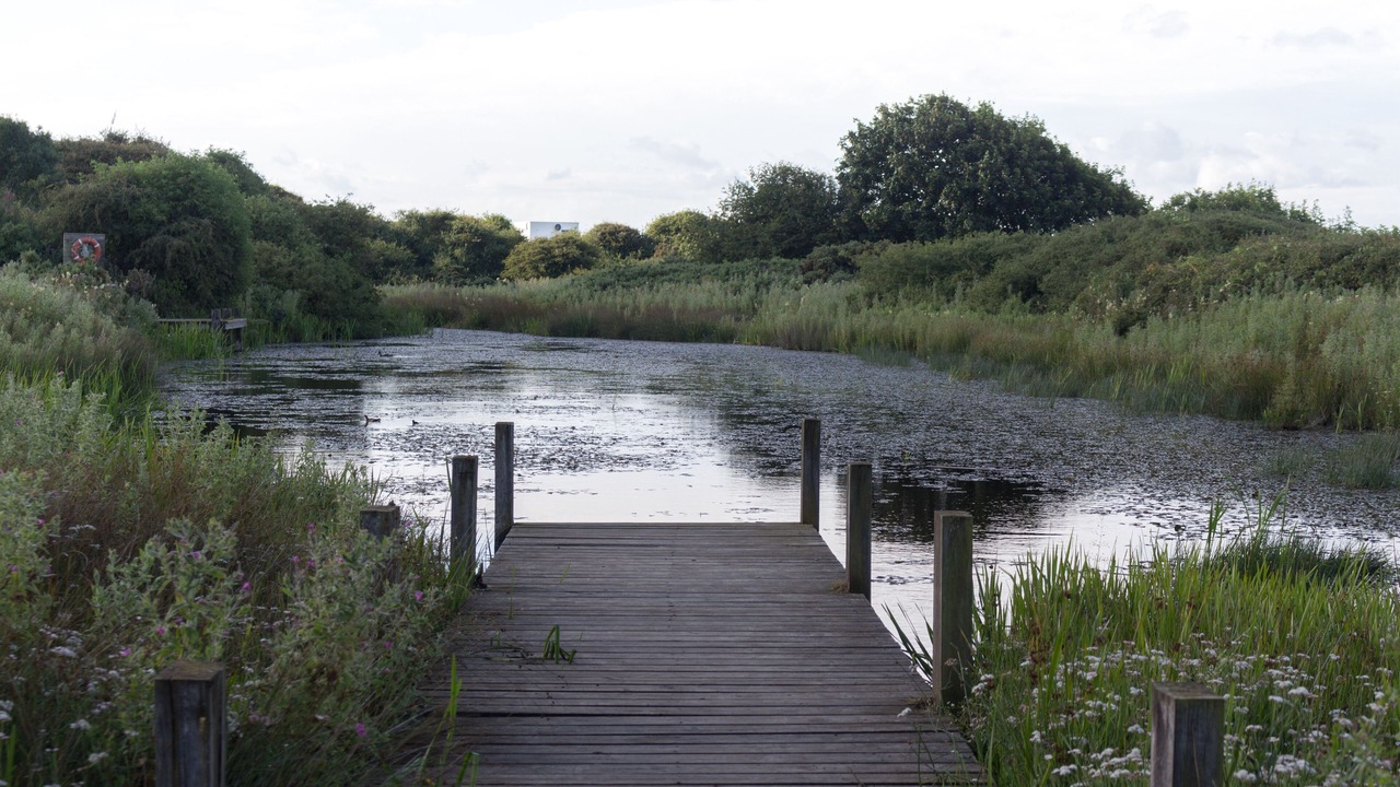 Photo of Outdoor in Muston
