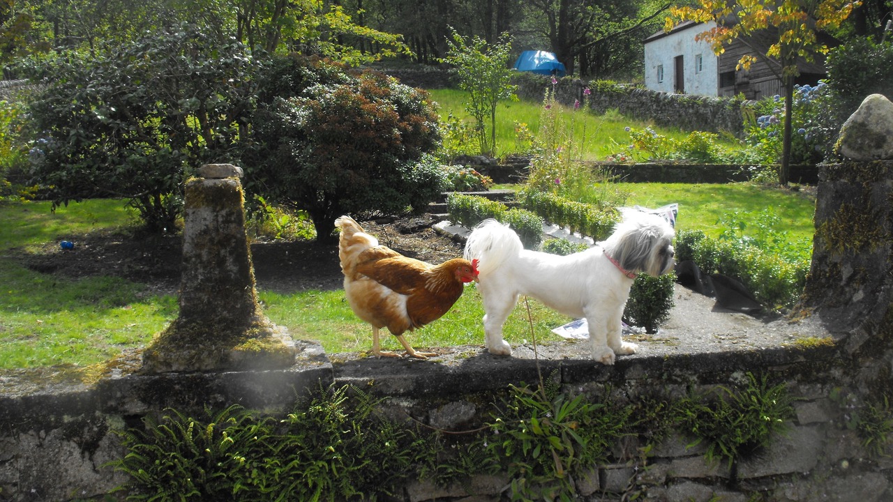 Photo of Others in Cairndow
