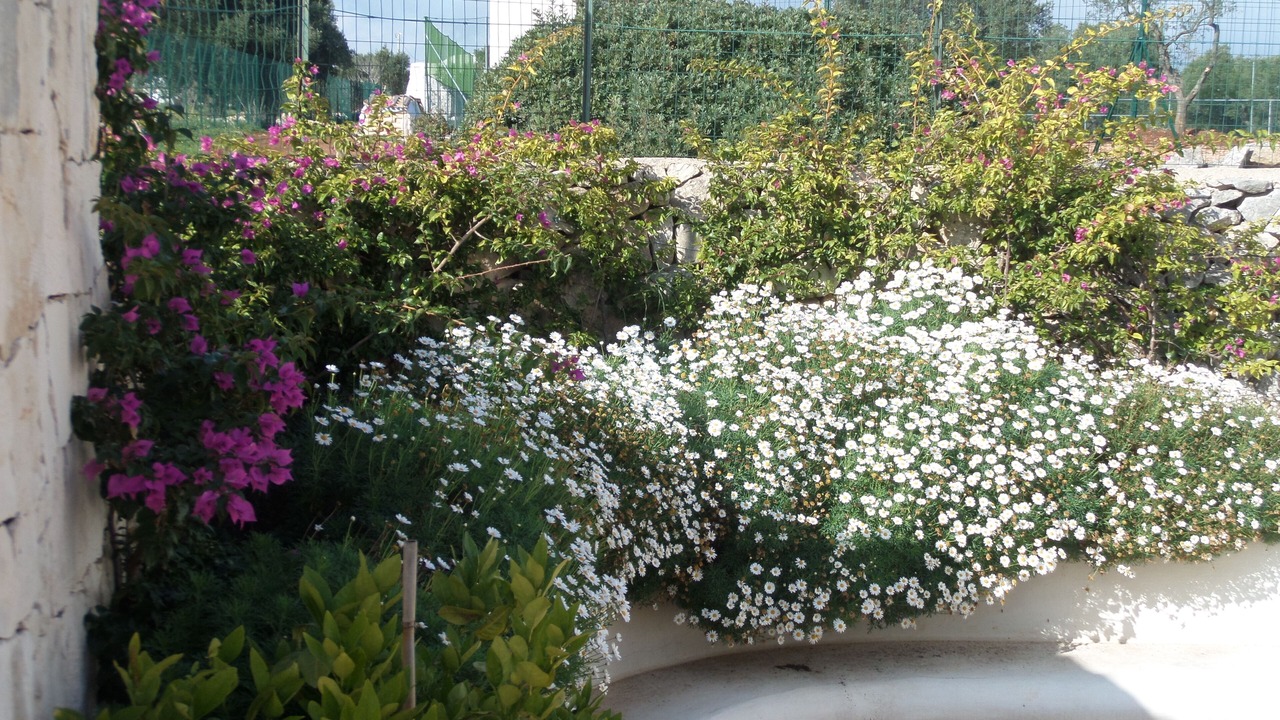 Photo of Outdoor in Ostuni