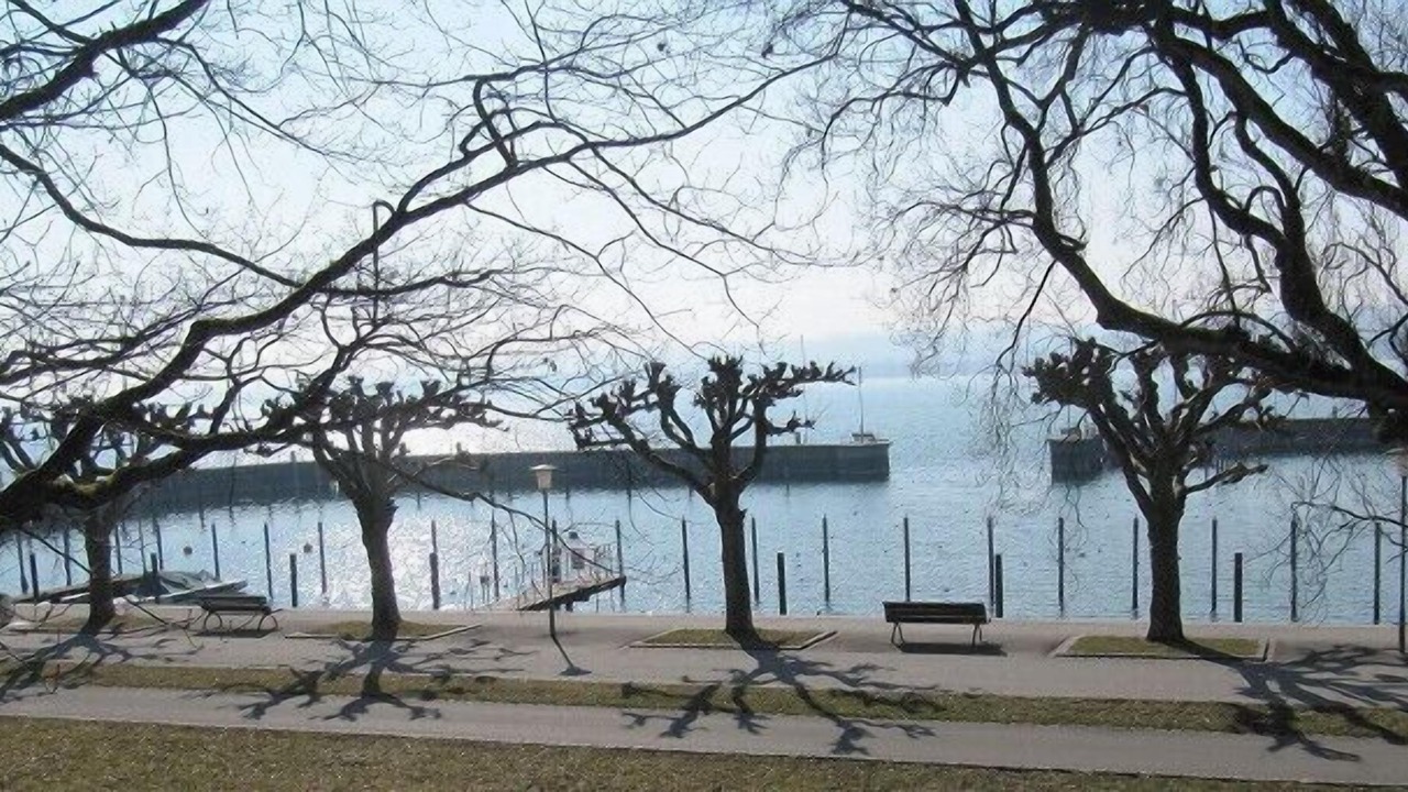 Photo of Others in Petershausen-Ost