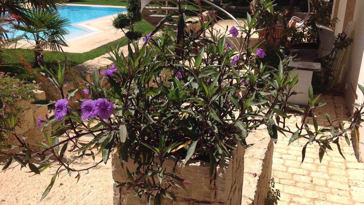 Photo of Outdoor in Donnalucata