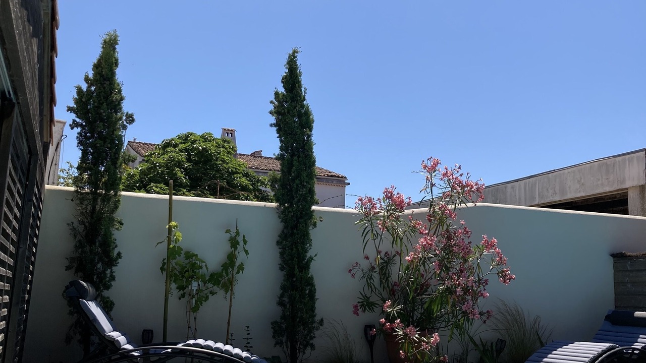 Photo of Outdoor in Angoulins