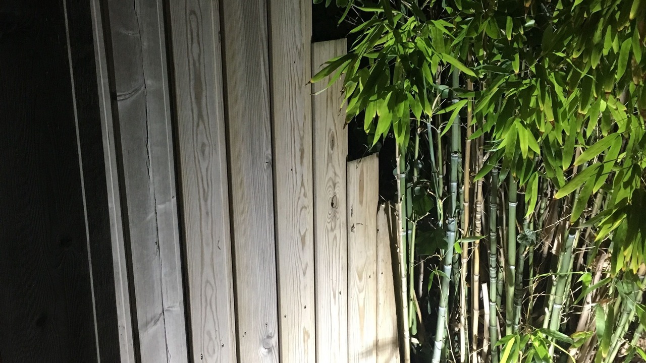 Photo of Outdoor in Angoulins
