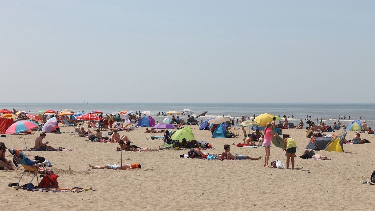 Photo of Others in Noordwijk