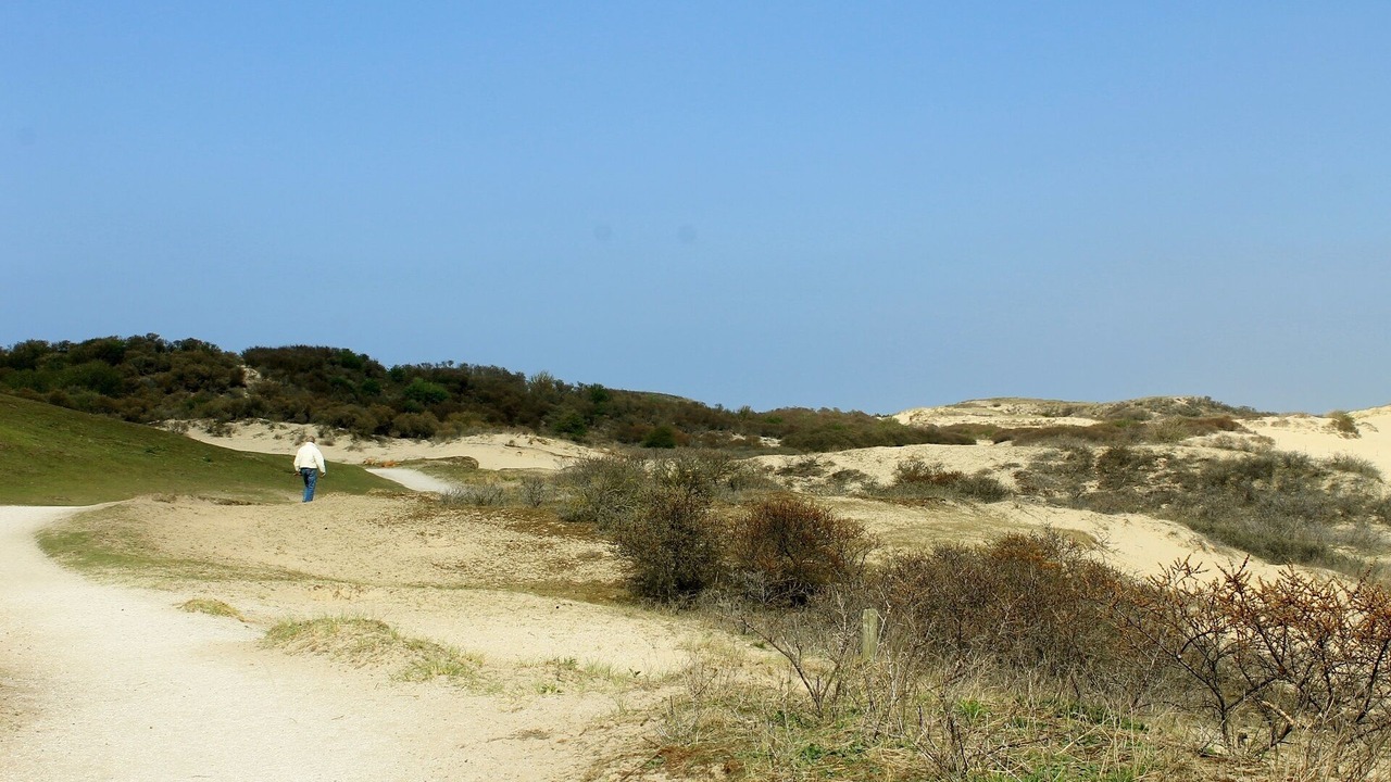 Photo of Others in Noordwijk