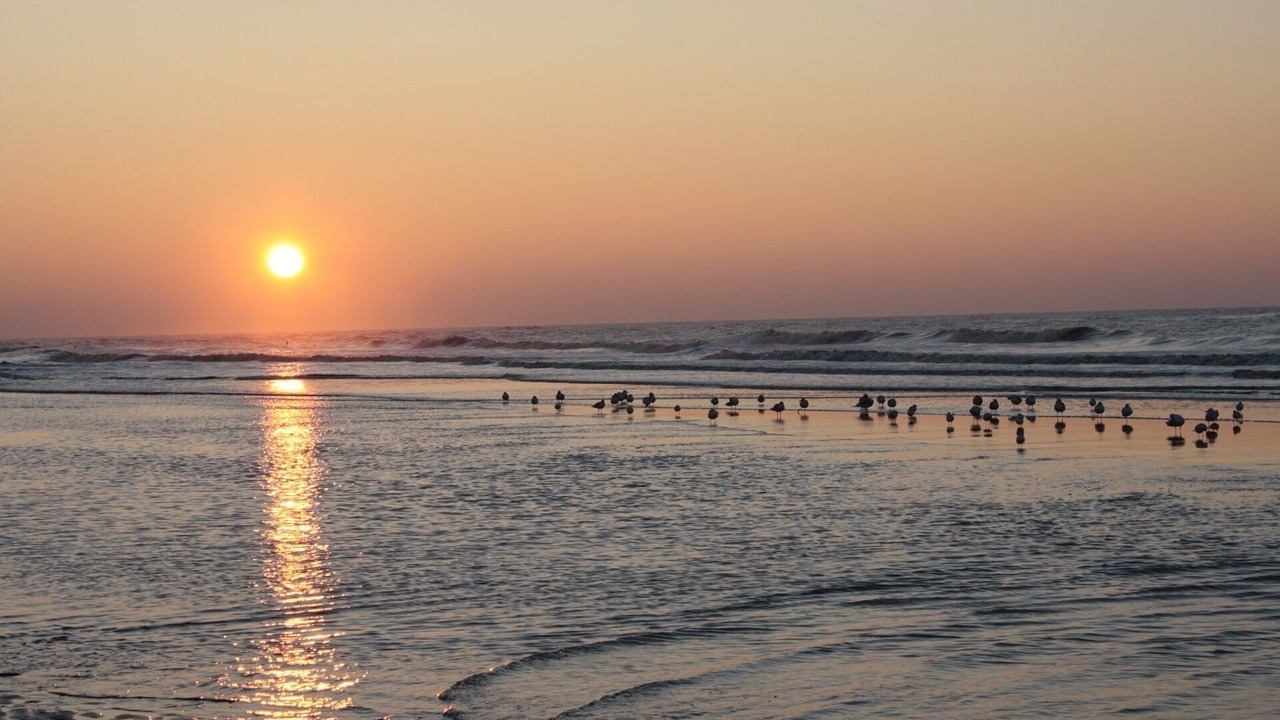 Photo of Others in Noordwijk
