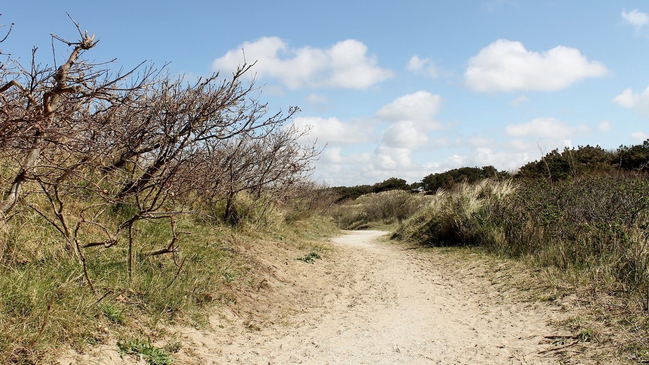 Photo of Others in Noordwijk