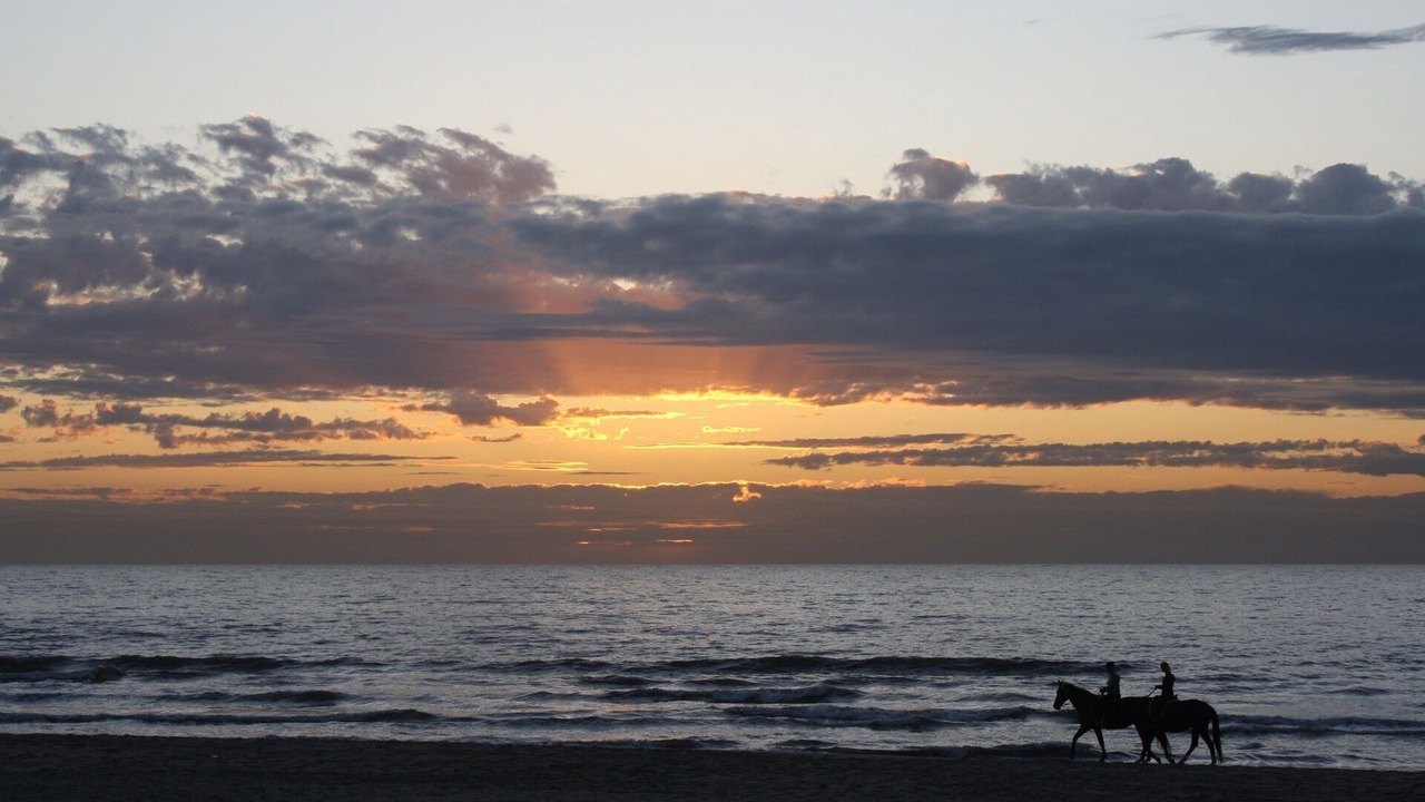 Photo of Others in Noordwijk