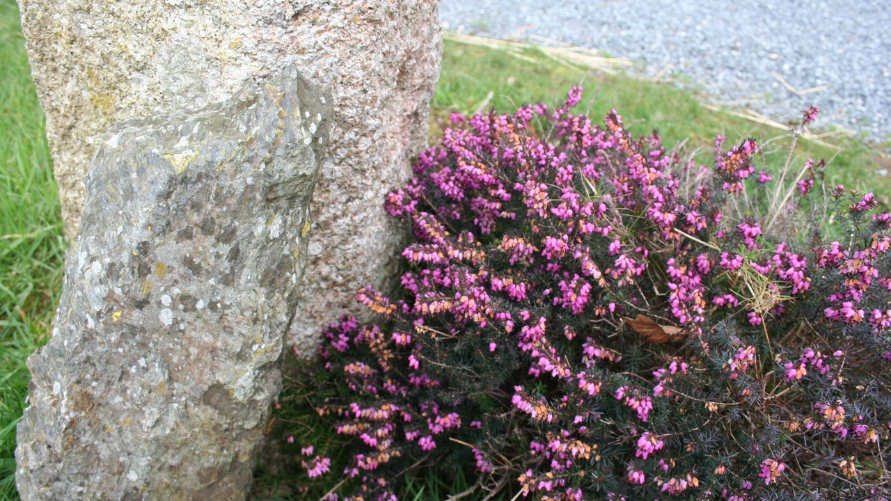 Photo of Outdoor in Callac