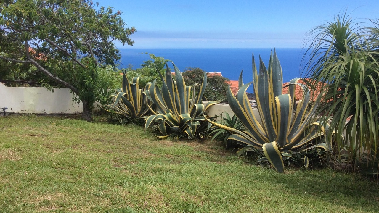 Photo of Outdoor in Estreito da Calheta