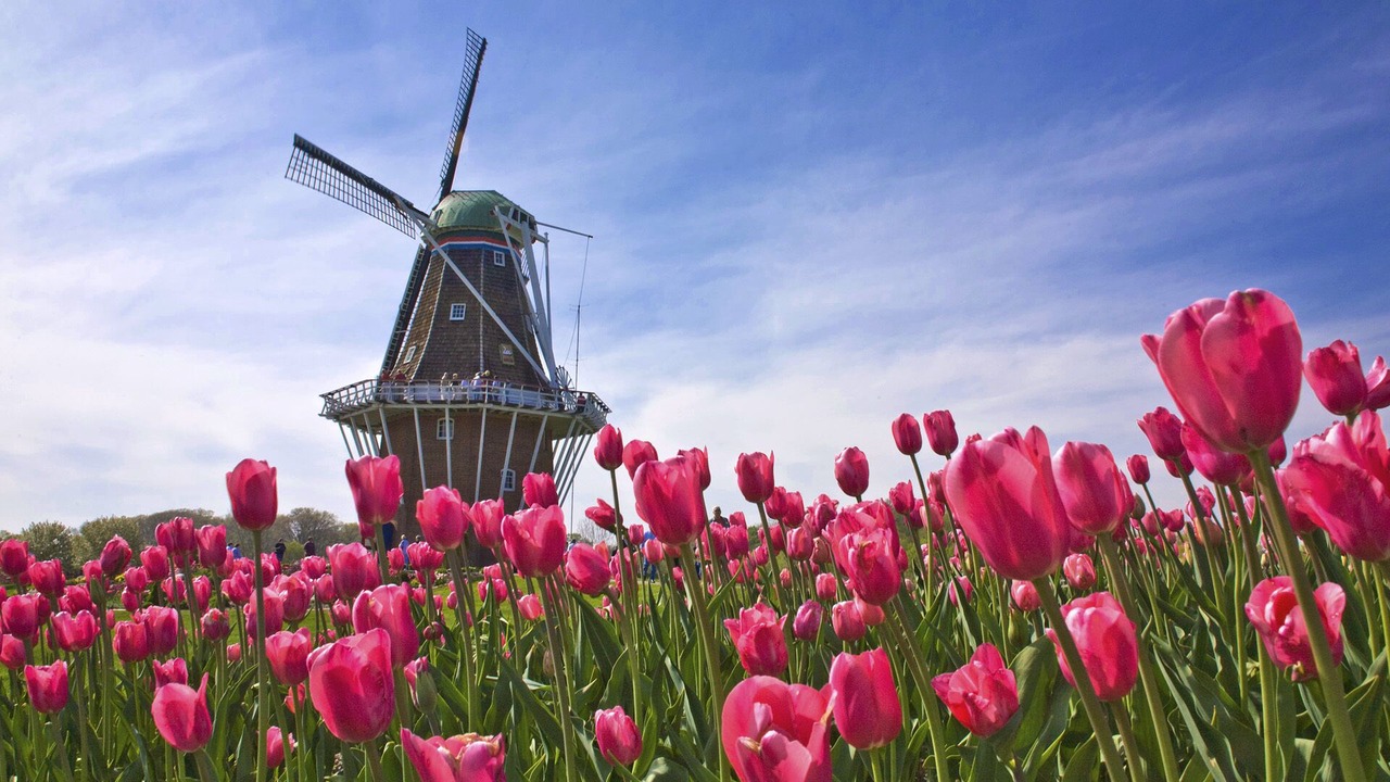 Photo of Outdoor in Broek in Waterland
