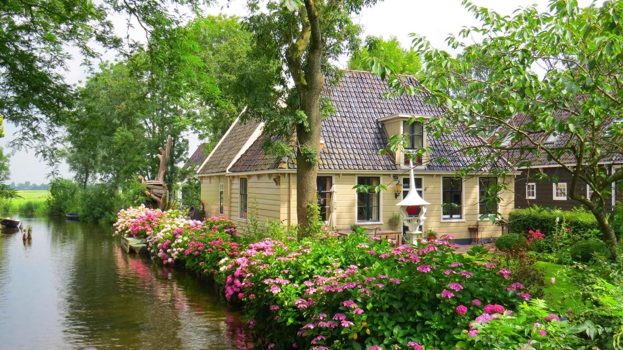 Photo of Outdoor in Broek in Waterland