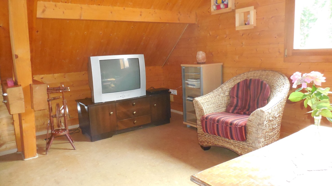 Photo of Livingroom in Lutzelbourg