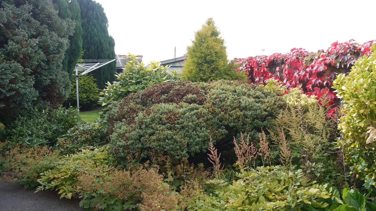 Photo of Outdoor in Cowdenbeath