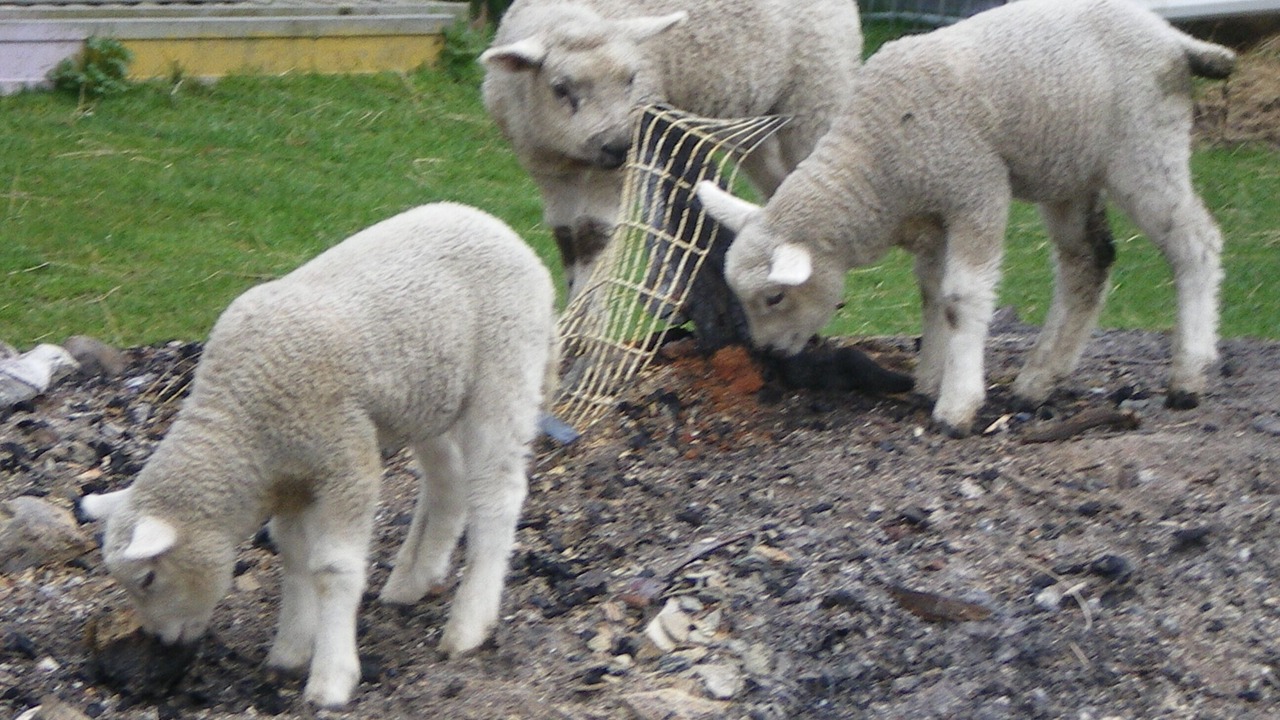 Photo of Outdoor in Grosmont