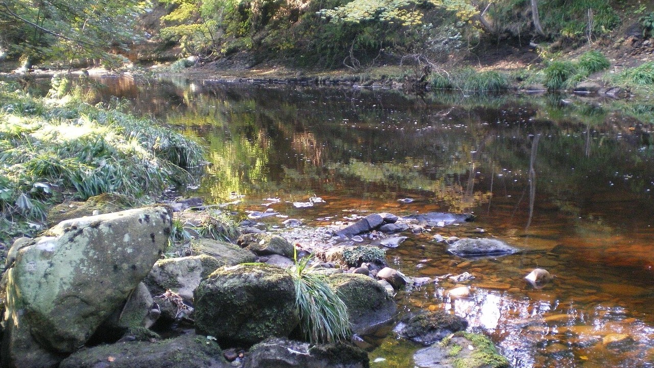 Photo of Others in Grosmont