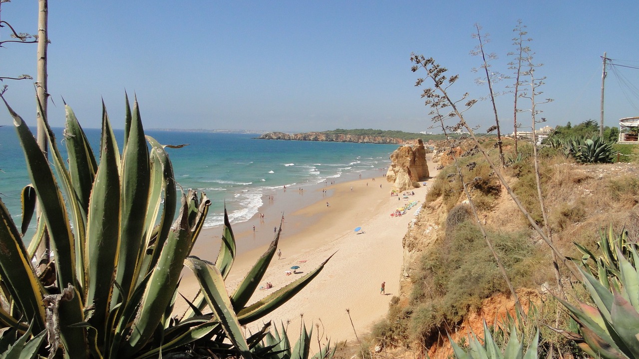 Photo of Others in Vilamoura