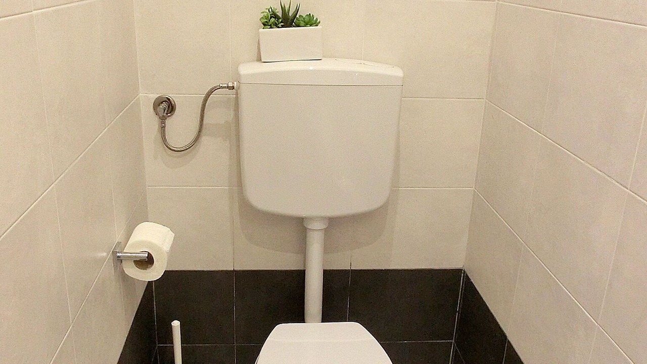 Photo of Bathroom in Castello