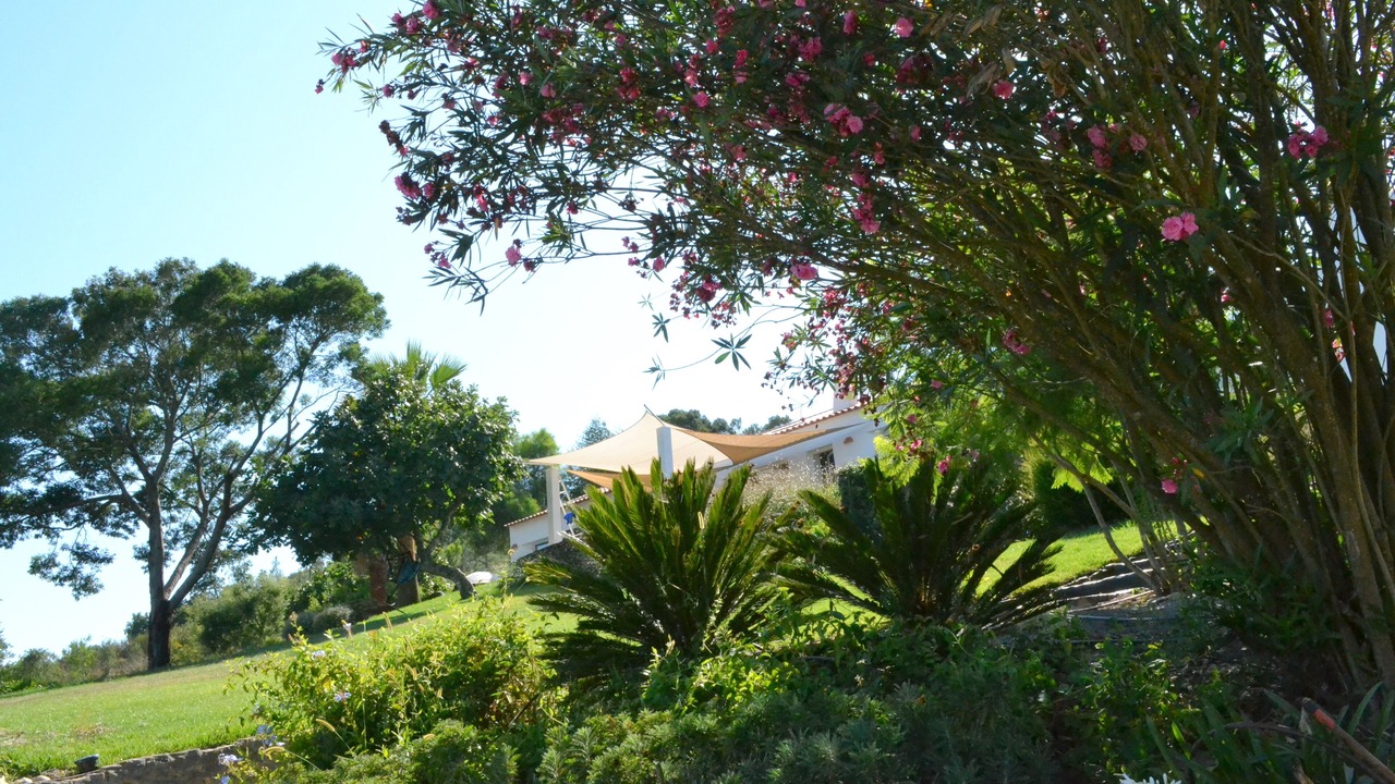 Photo of Outdoor in Sao Luis