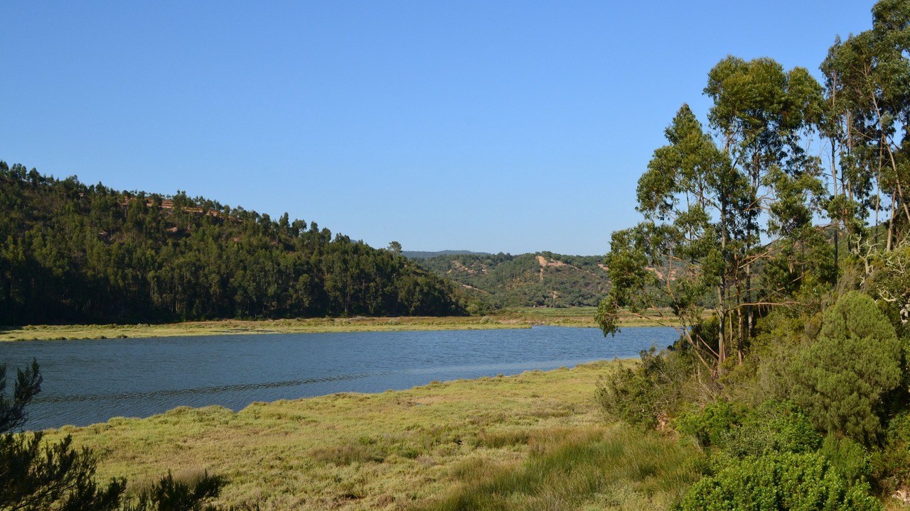 Photo of Others in Sao Luis