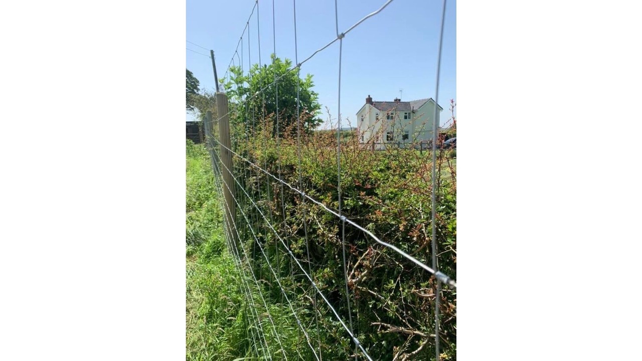 Photo of Outdoor in Leek