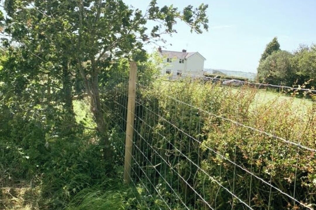 Photo of Outdoor in Leek