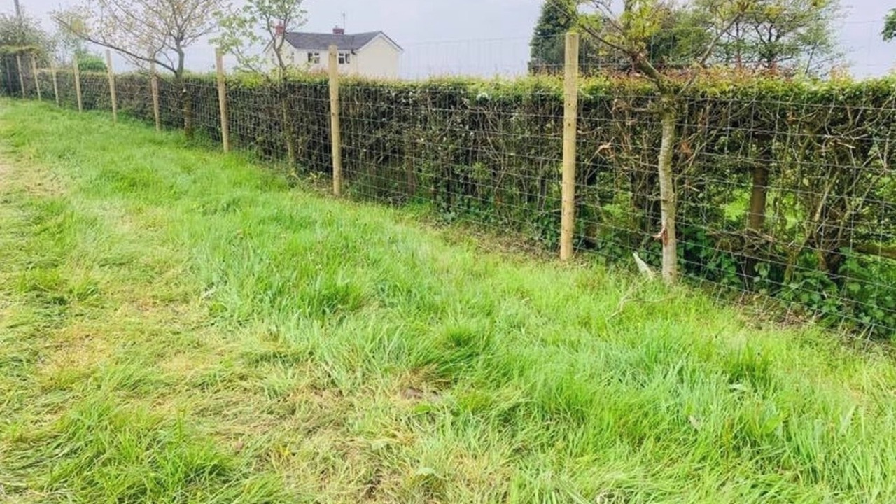 Photo of Outdoor in Leek