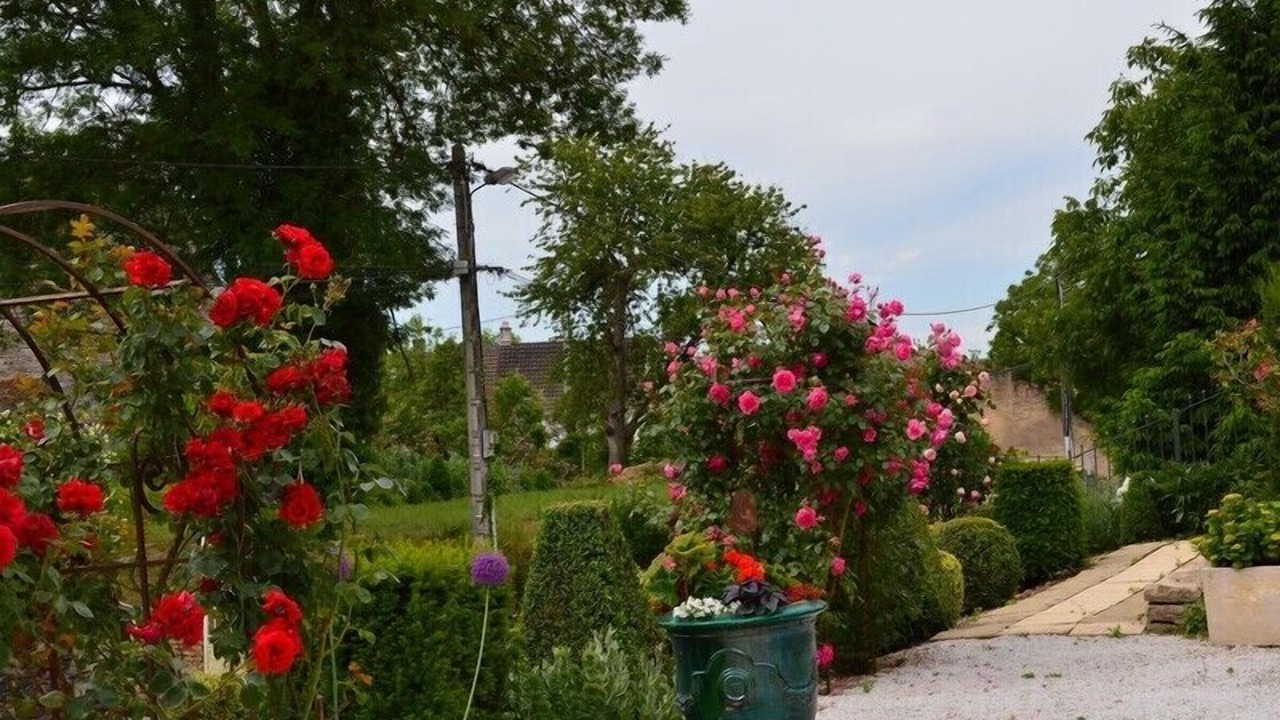 Photo of Outdoor in Ladoix-Serrigny