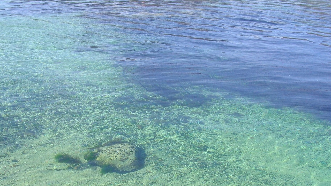 Photo of Others in Glenelg