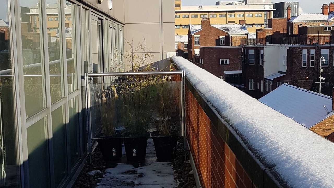 Photo of Outdoor in Liverpool City Centre