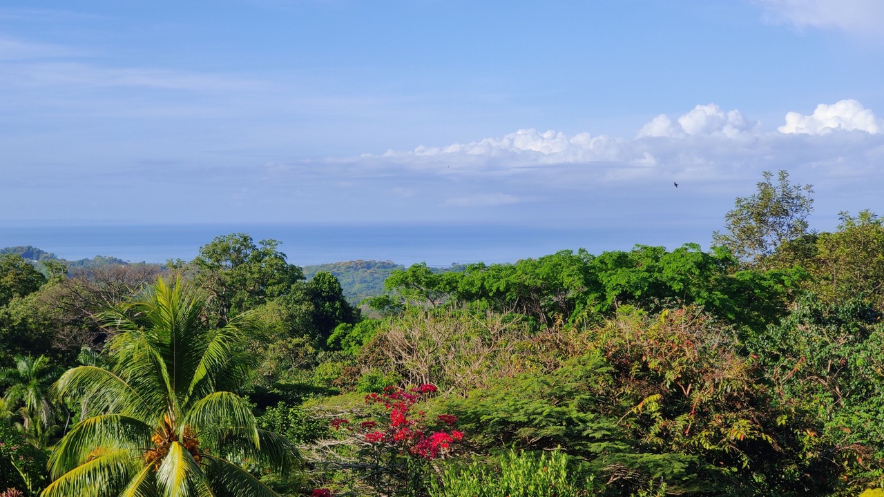Photo of Outdoor in Ballena