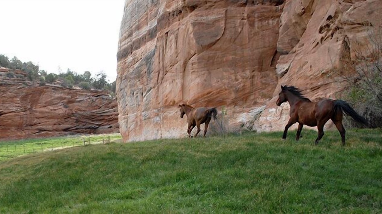 Photo of Others in Kanab