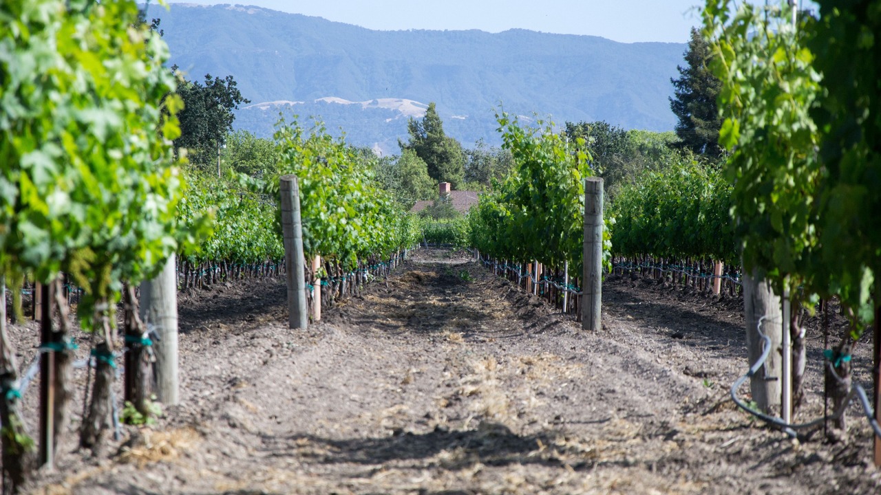 Photo of Outdoor in Solvang