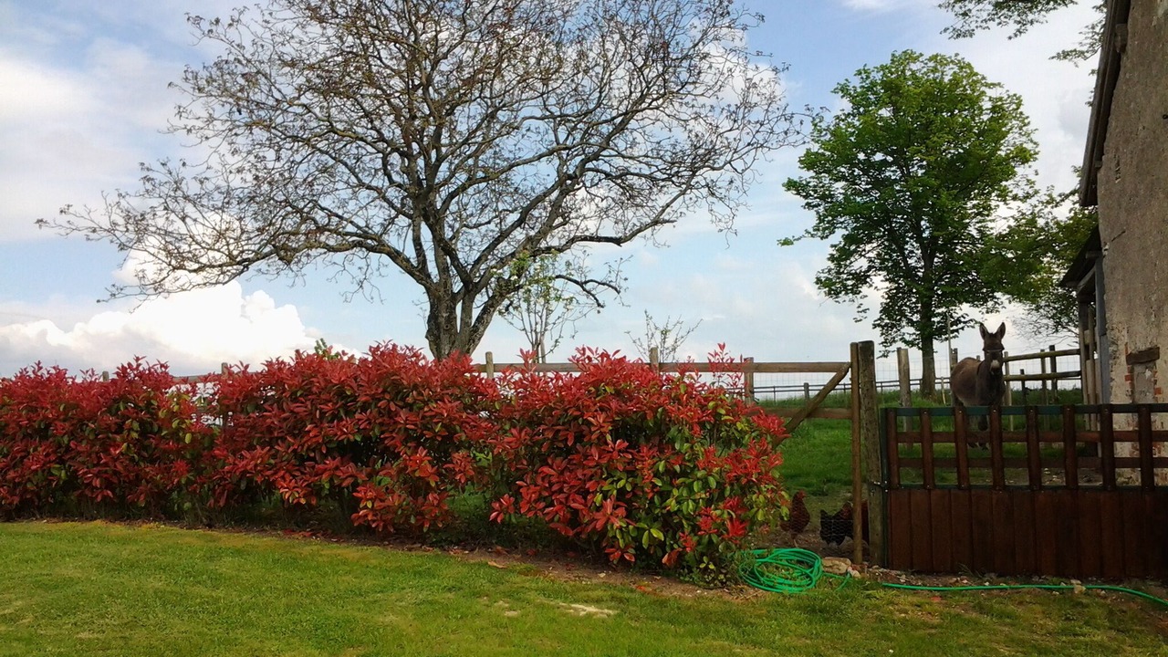 Photo of Outdoor in Sublaines