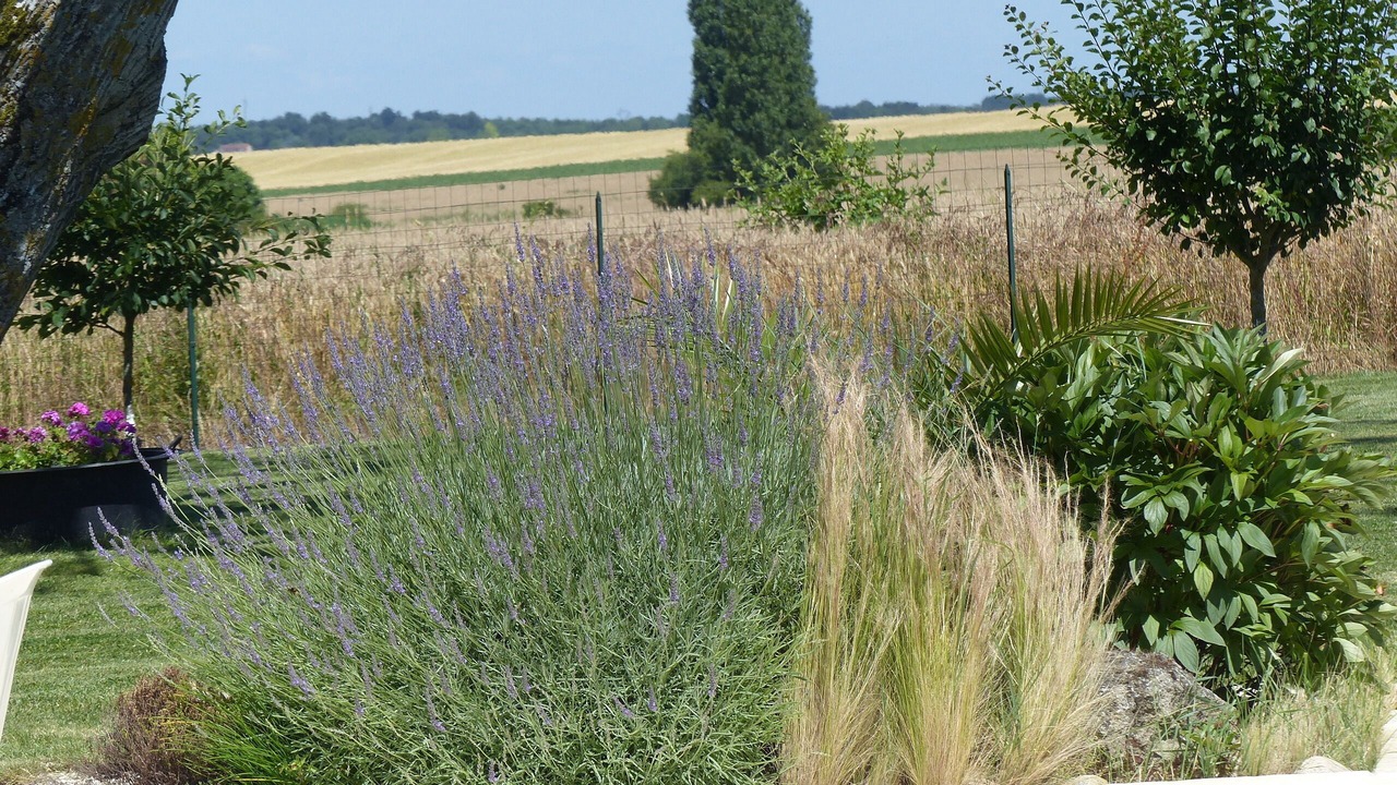 Photo of Outdoor in Sublaines